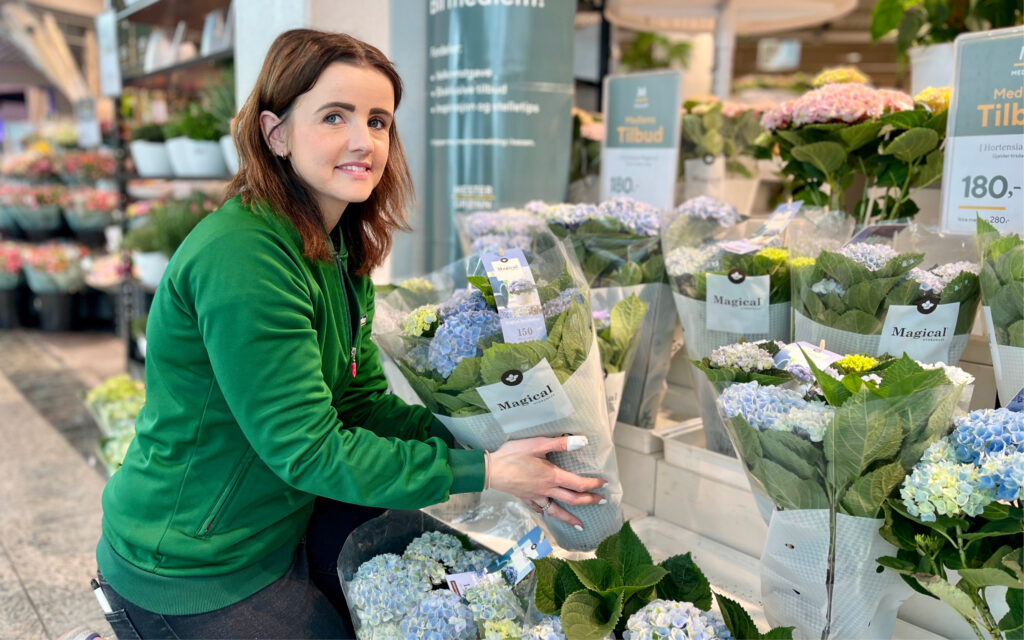Uteblomster fra Mester Grønn