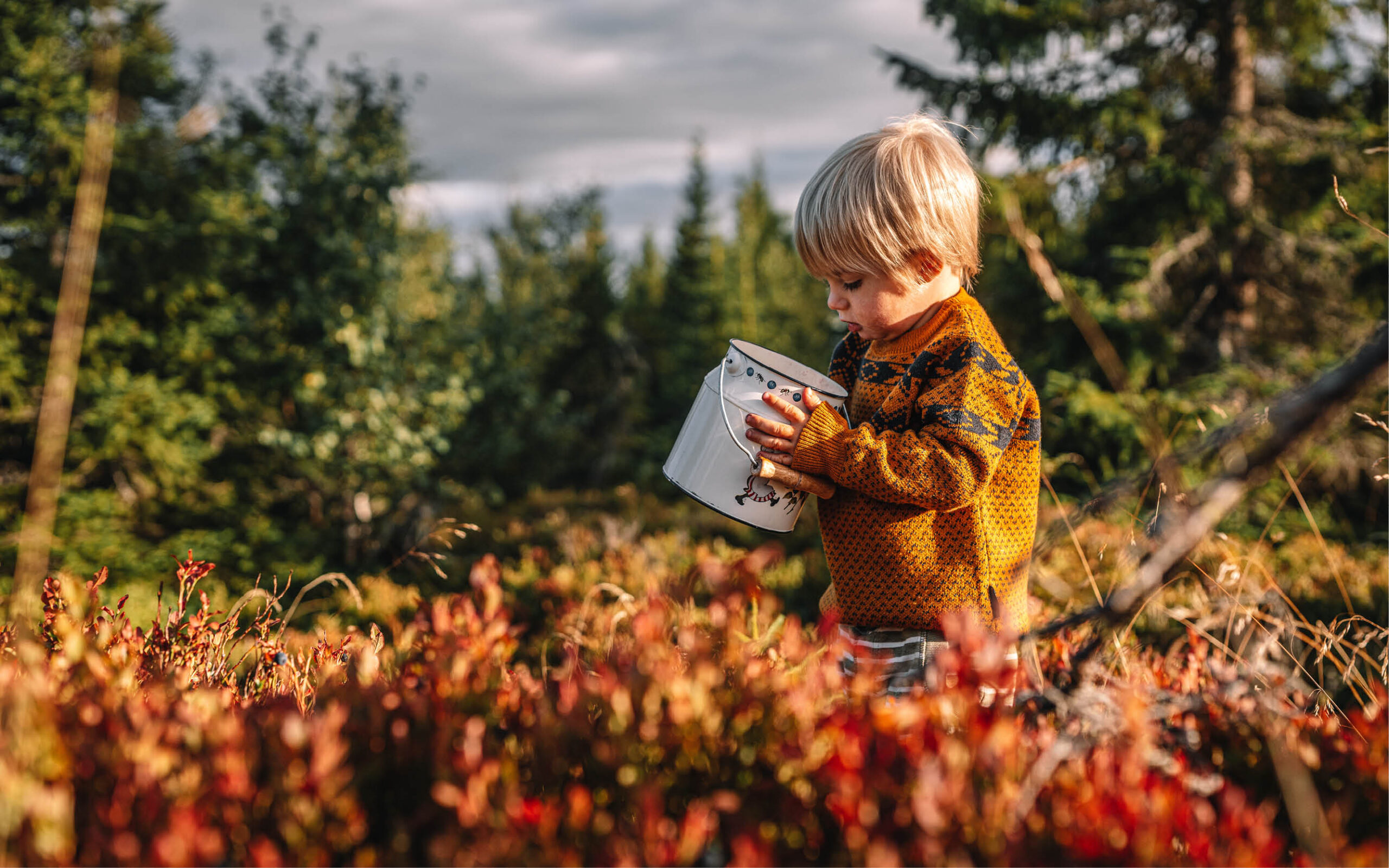 Tips til høstturen – på blåbærtur