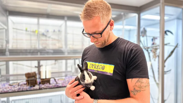 Dyrego på CC Gjøvik