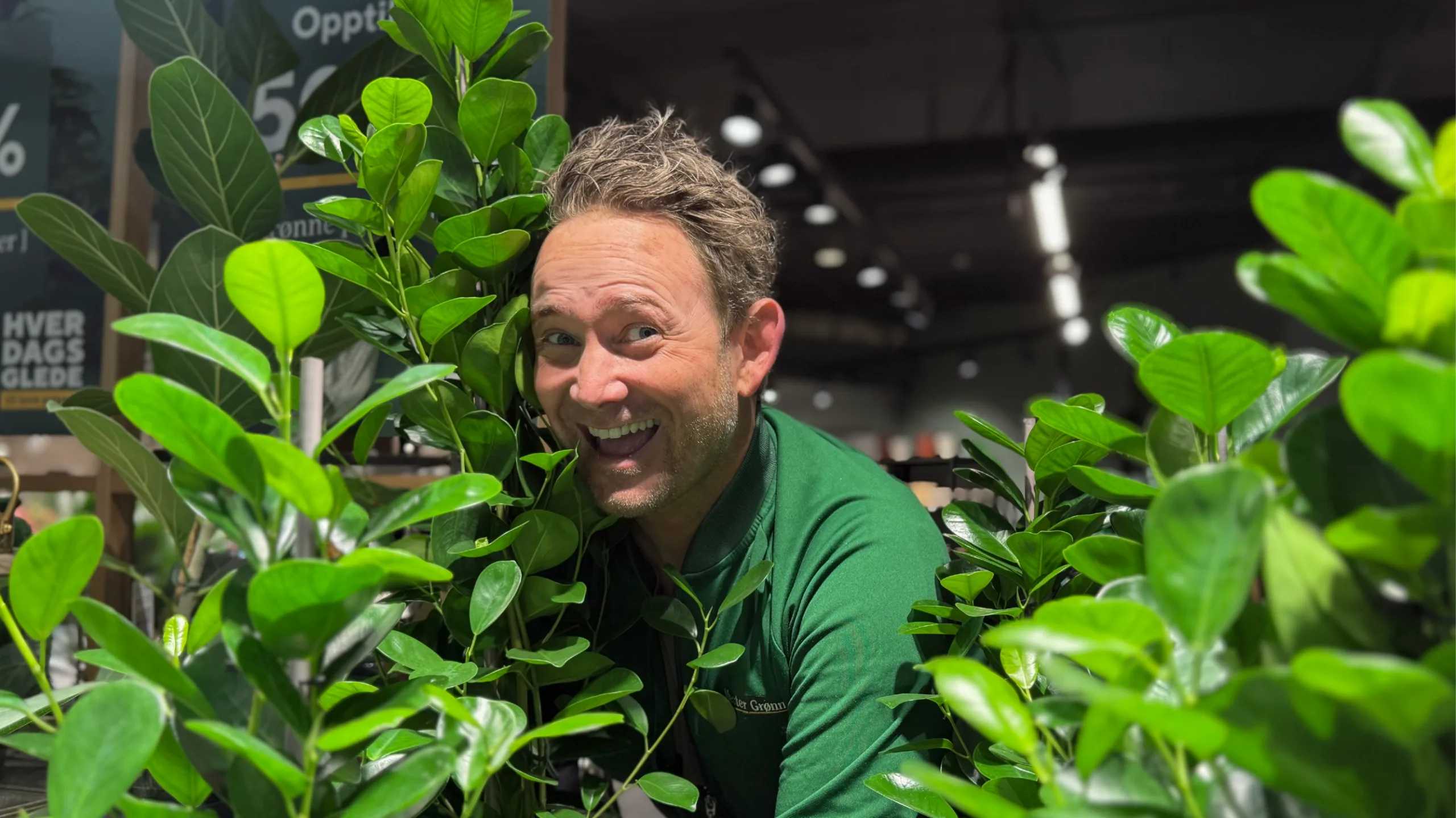 Grønne planter fra Mester Grønn på CC Gjøvik